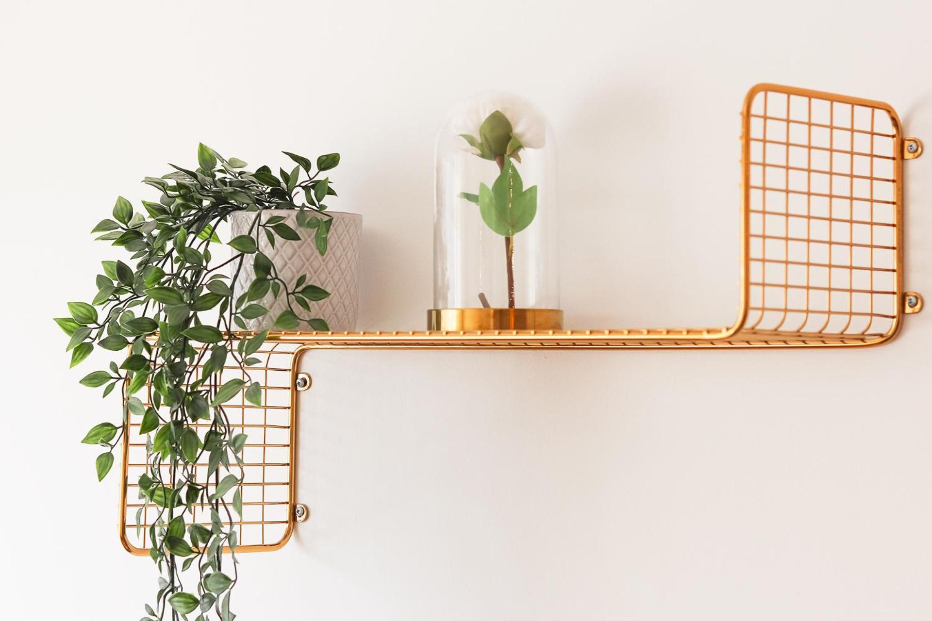 Laranjeiras Design By Homing Lejlighed Lisboa